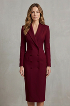 Long Sleeve Bodycon Executive Elegance For Power Dressing
